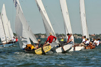 2012 Thistle Midwinters A 162