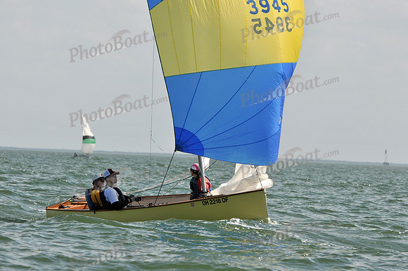 2012 Thistle Midwinters B 1398