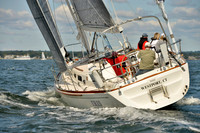 2017 Stamford Denmark Race_0729