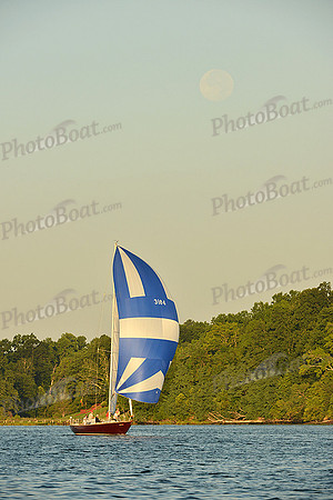2015 Gov Cup C 557