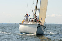 2011 Vineyard Race A 334