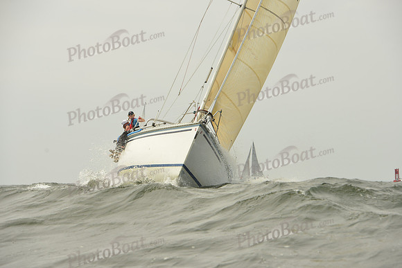 2015 Vineyard Race A 210