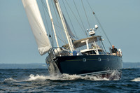 2015 Vineyard Race C 194
