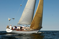 2011 Vineyard Race A 2119