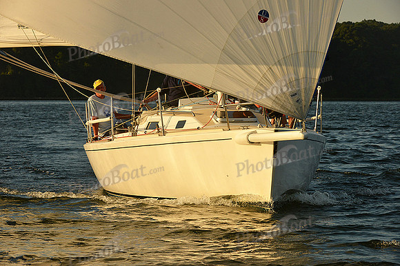 2015 Gov Cup C 703