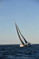 2020 Vineyard Race C_0031