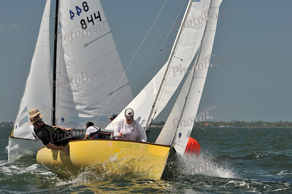 2012 Thistle Midwinters C 284