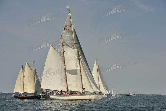2018 Vineyard Cup A_0078