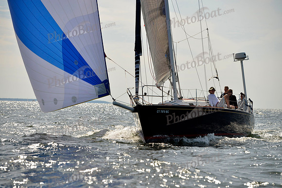 2017 Vineyard Race A_1738