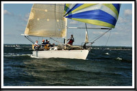 proof_2010_Vineyard_Race_0448
