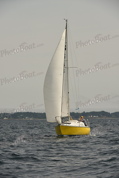 2016 Chester Race Week C_1304