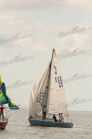 DBP_8287