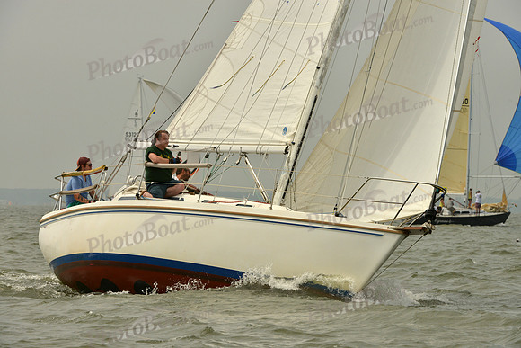 2016 Southern Bay Race Week A_0422