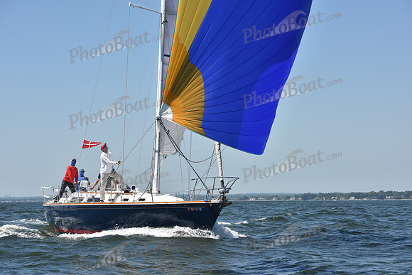 2019 Vineyard Race A_0989
