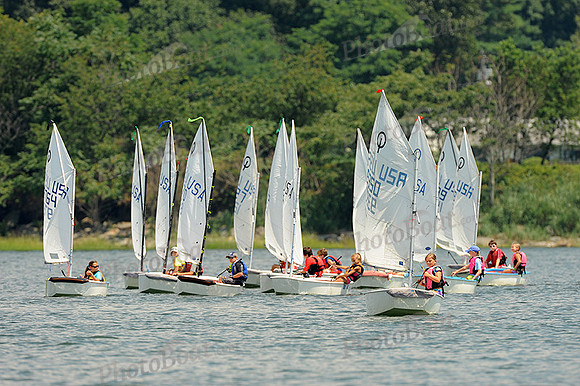 2012 Opti Green Fleet 383