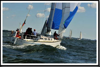 proof_2010_Vineyard_Race_0155