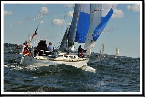 proof_2010_Vineyard_Race_0155