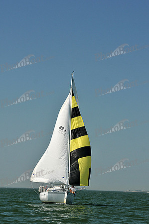 2013 Southern Bay Race Week C 1201