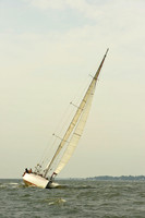 2015 Vineyard Race A 1211