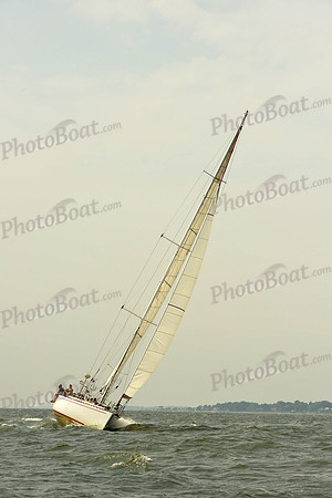 2015 Vineyard Race A 1211