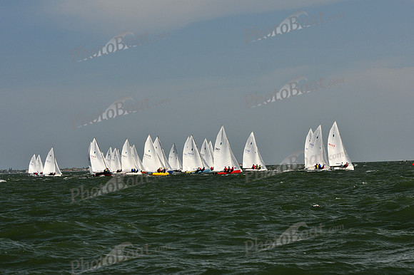 2012 Thistle Midwinters B 488