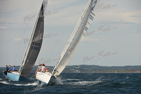 2016 Chester Race Week A_1523