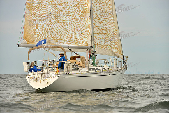 2017 Vineyard Race B_0078