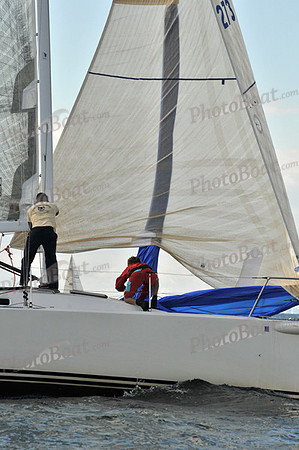 2010 IRC LIS 564