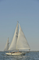 2017 Southern Bay Race Week B_0173