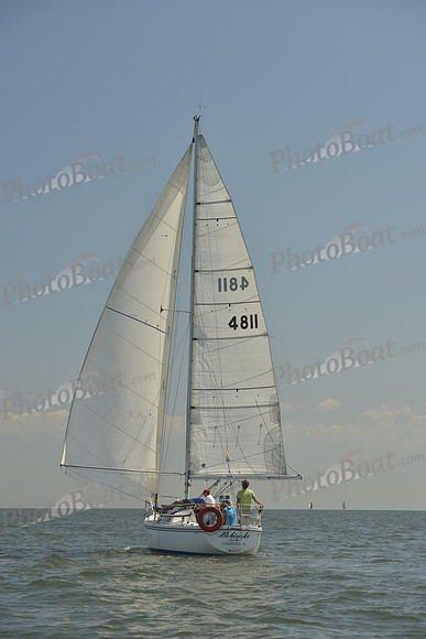 2017 Southern Bay Race Week B_0368