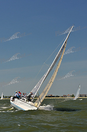 2014 Southern Bay Race Week D 121