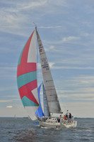 2016 Vineyard Race A_0598