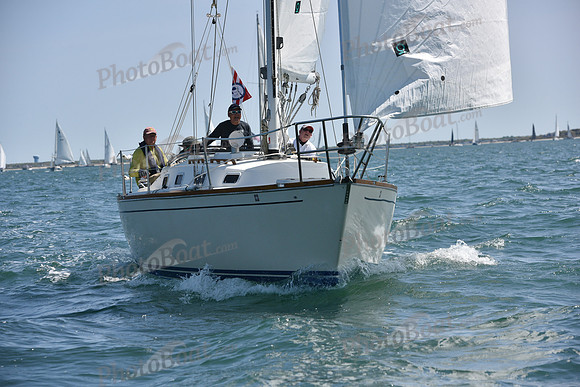 2019 Figawi_0371