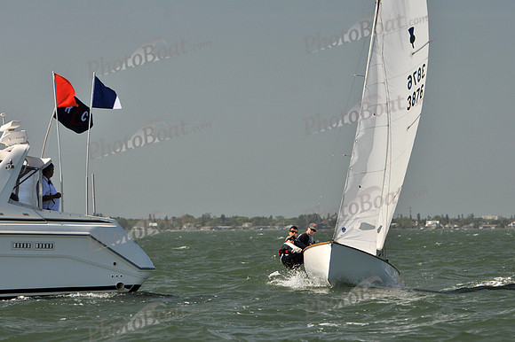 2012 Thistle Midwinters B 934