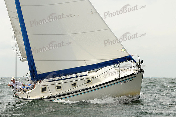 2012 Cape Charles Cup A 1955