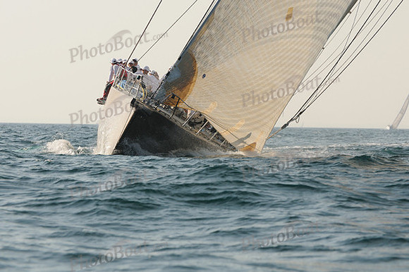 2010_NptBmda_2263