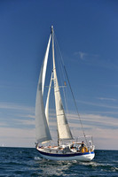 2016 Newport Bermuda Race_1139