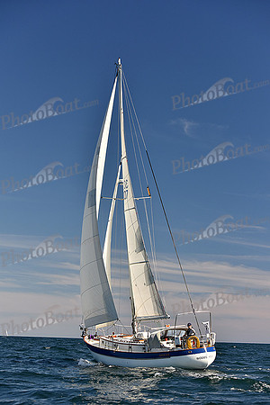 2016 Newport Bermuda Race_1139