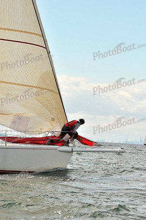 2010 IRC LIS 438