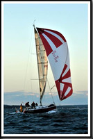 proof_2010_Vineyard_Race_2355