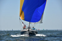 2019 Vineyard Race A_0982