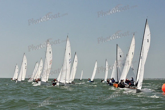 2012 Thistle Midwinters B 1124
