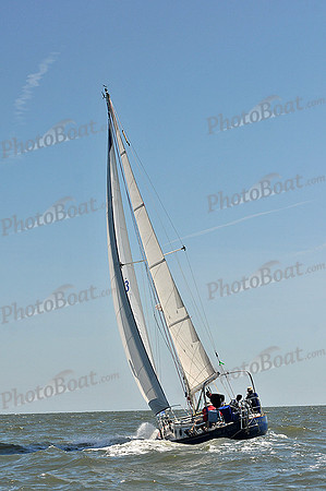 2014 Southern Bay Race Week D 438