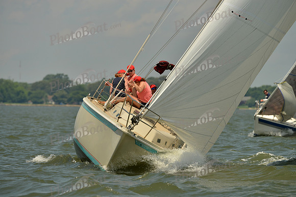 2016 Southern Bay Race Week F_1232