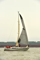 2016 Southern Bay Race Week A_0923