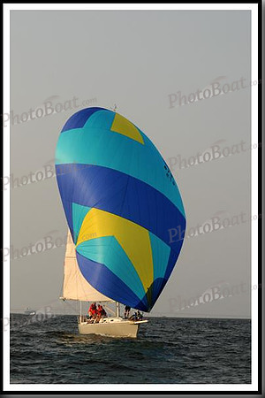 proof_2010 Gov Cup B 443