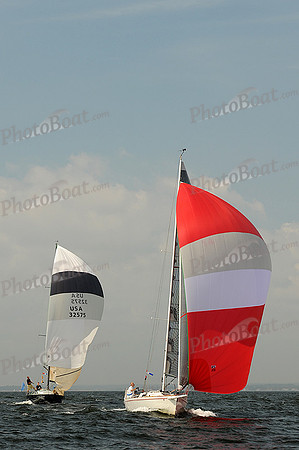 2013 Vineyard Race A 671