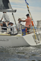 2016 Vineyard Race A_0702