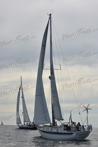 2019 Around Marthas Vineyard A_0400
