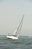 2015 Vineyard Race A 824
